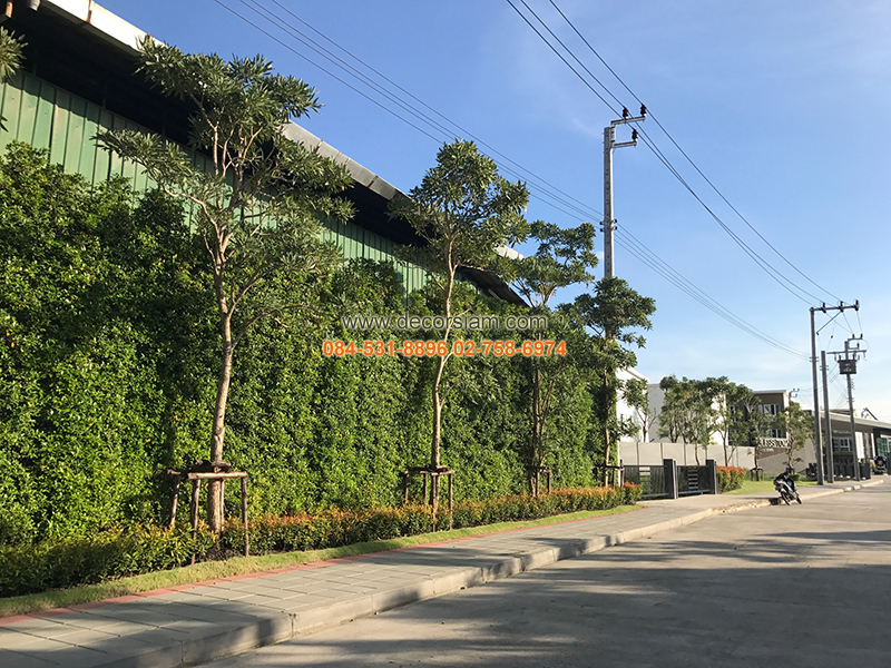  เบล็สทาวน์ ศรีนครินทร์-หนามแดง