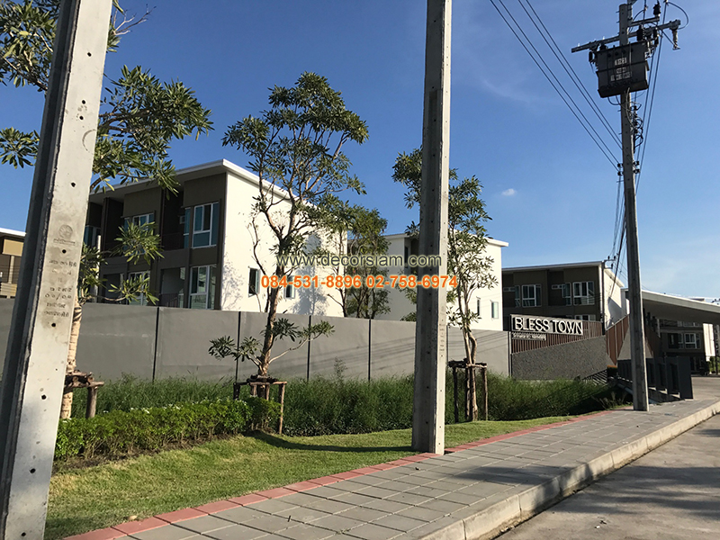  เบล็สทาวน์ ศรีนครินทร์-หนามแดง